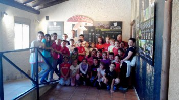 Imagen 4