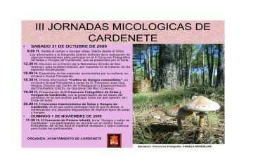 IV Jornadas Micológicas de Amivall en Cardenete (2009)