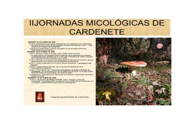 IV Jornadas Micológicas de Amivall en Cardenete (2008)