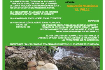 IX Jornadas Micológicas de Amivall en Cardenete (2015)