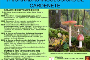 VI Jornadas Micológicas de Amivall en Cardenete (2012)