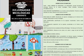 XIV Jornadas Micológicas de Amivall en Cardenete (2022)