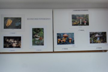 Exposición Fotográfica Micológica