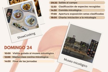 ¡Te invitamos a las Jornadas Micológicas en Beteta este fin de semana!