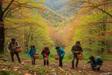 Explorando el Mundo de los Hongos: Naturaleza, Biodiversidad y Sostenibilidad