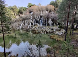 La IA revela los mejores pueblos de Castilla-La Mancha (Cuenca) para buscar setas en 2025
