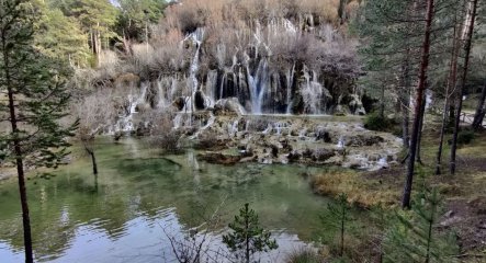 La IA revela los mejores pueblos de Castilla-La Mancha (Cuenca) para buscar setas este otoño