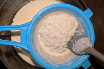 Cómo cuidar los gránulos de kéfir sin complicarte: dudas básicas para principiantes