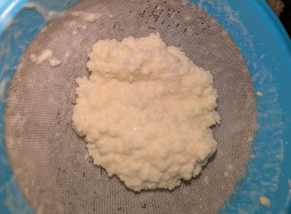 Kéfir y fermentación: explicación fácil para entender qué pasa en el tarro