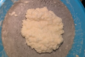 Kéfir y fermentación: explicación fácil para entender qué pasa en el tarro