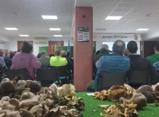 Micología y desarrollo rural: oportunidades para municipios pequeños