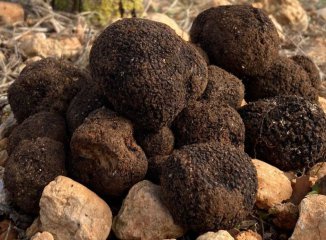 Cambia el uso de "trufado" en alimentos: qué exige el nuevo criterio sobre productos con trufa