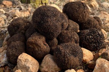 Cambia el uso de "trufado" en alimentos: qué exige el nuevo criterio sobre productos con trufa