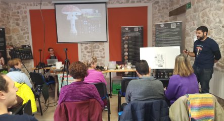 Cómo organizar jornadas micológicas: guía práctica para colectivos y ayuntamientos