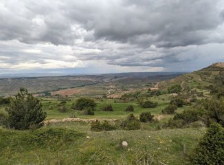 Primavera y alergias: qué papel tienen los hongos ambientales y qué conviene saber