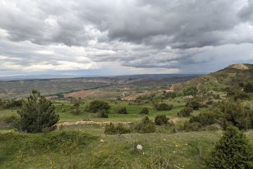 Primavera y alergias: qué papel tienen los hongos ambientales y qué conviene saber