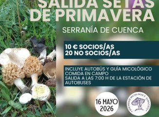 La Asociacion Micologica de Albacete organiza una salida de primavera a la Serrania de Cuenca el 16 de mayo de 2026