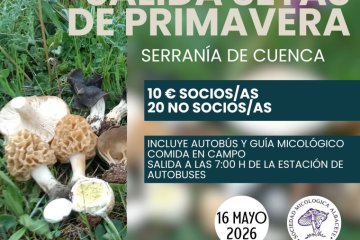 La Asociacion Micologica de Albacete organiza una salida de primavera a la Serrania de Cuenca el 16 de mayo de 2026