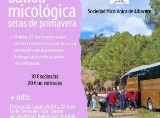 Salida micológica de setas de primavera en Albacete: recolección responsable y transporte