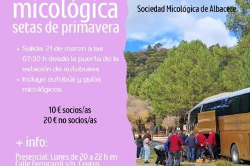 Salida micológica de setas de primavera en Albacete: recolección responsable y transporte