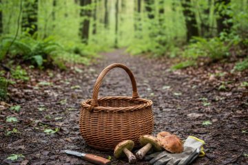 Setas de primavera: qué esperar y cómo salir con prudencia