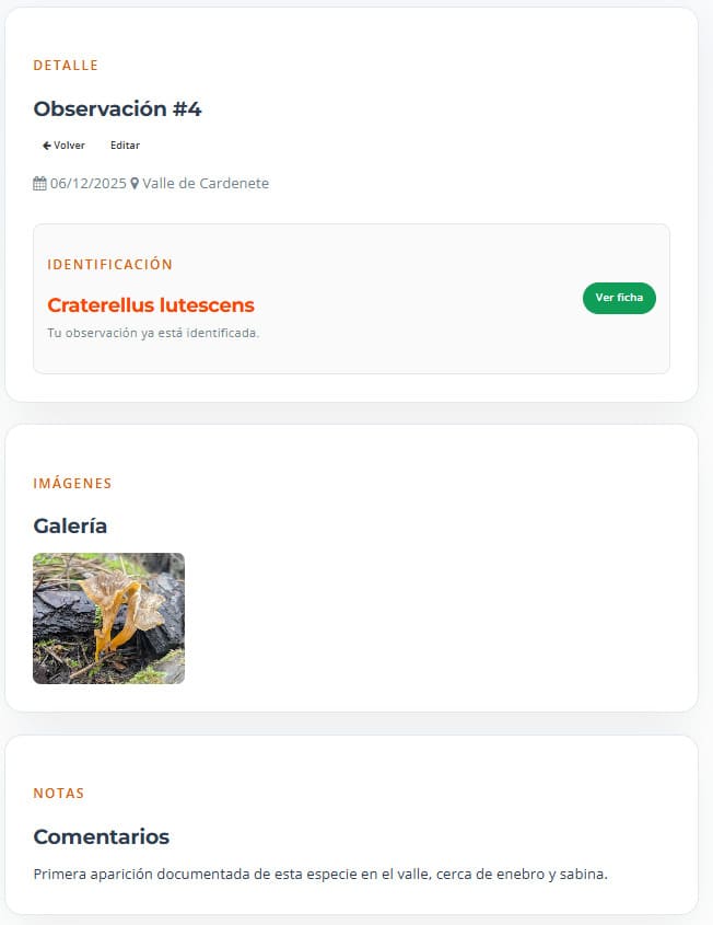 Detalle de una observación identificada en el Cuaderno de Campo