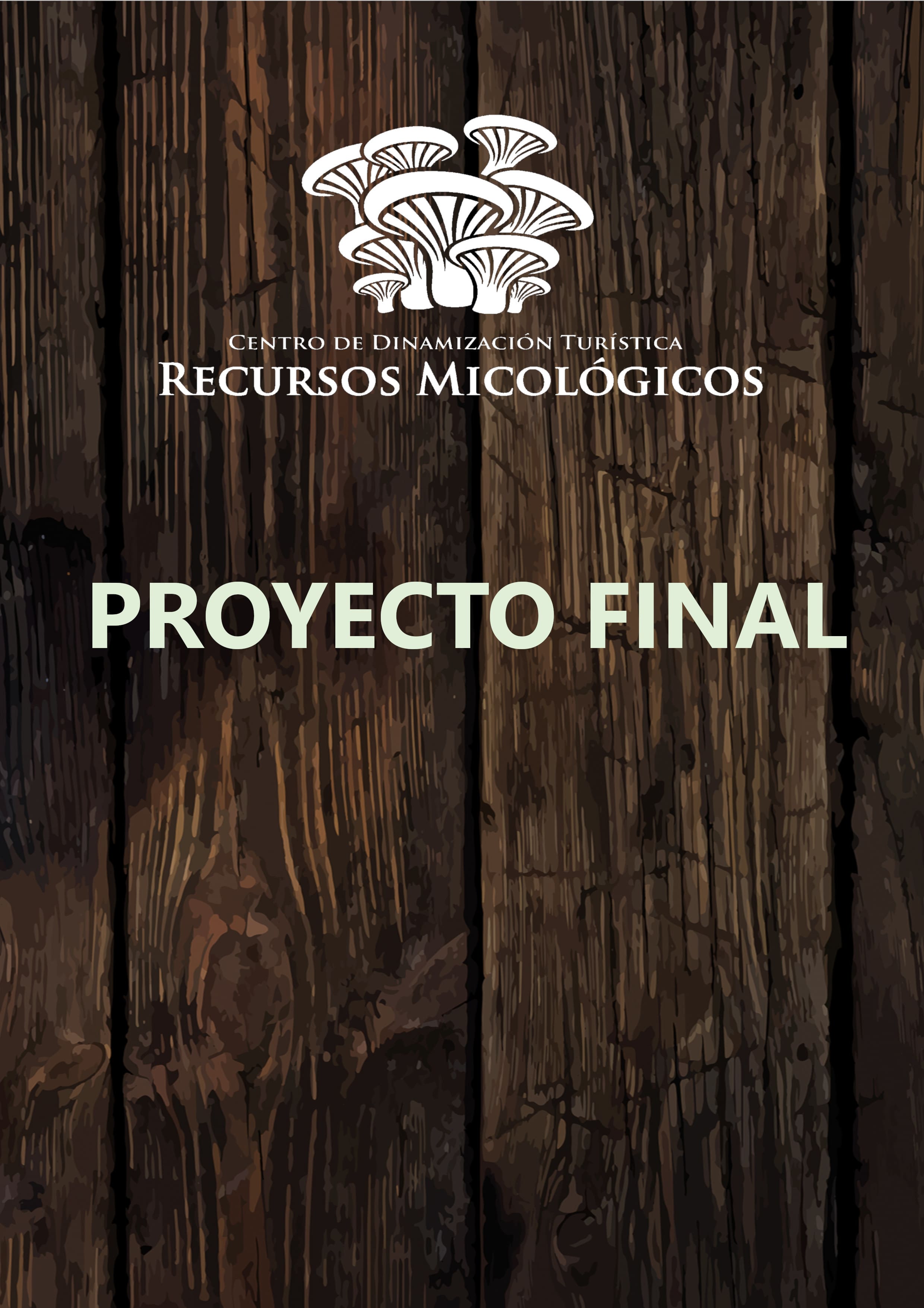 Proyecto Final