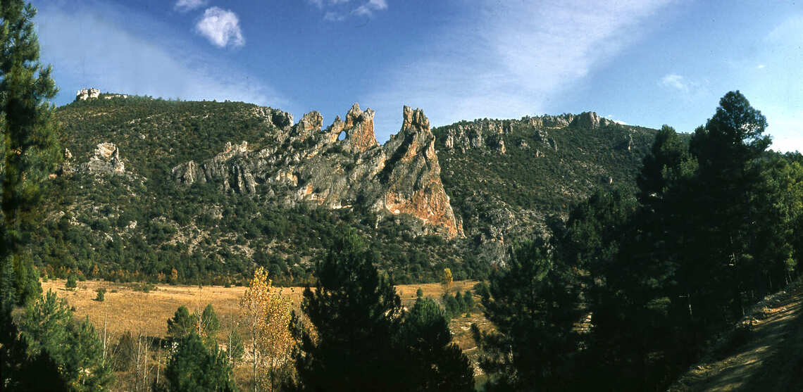 Bosque del Alto Tajo
