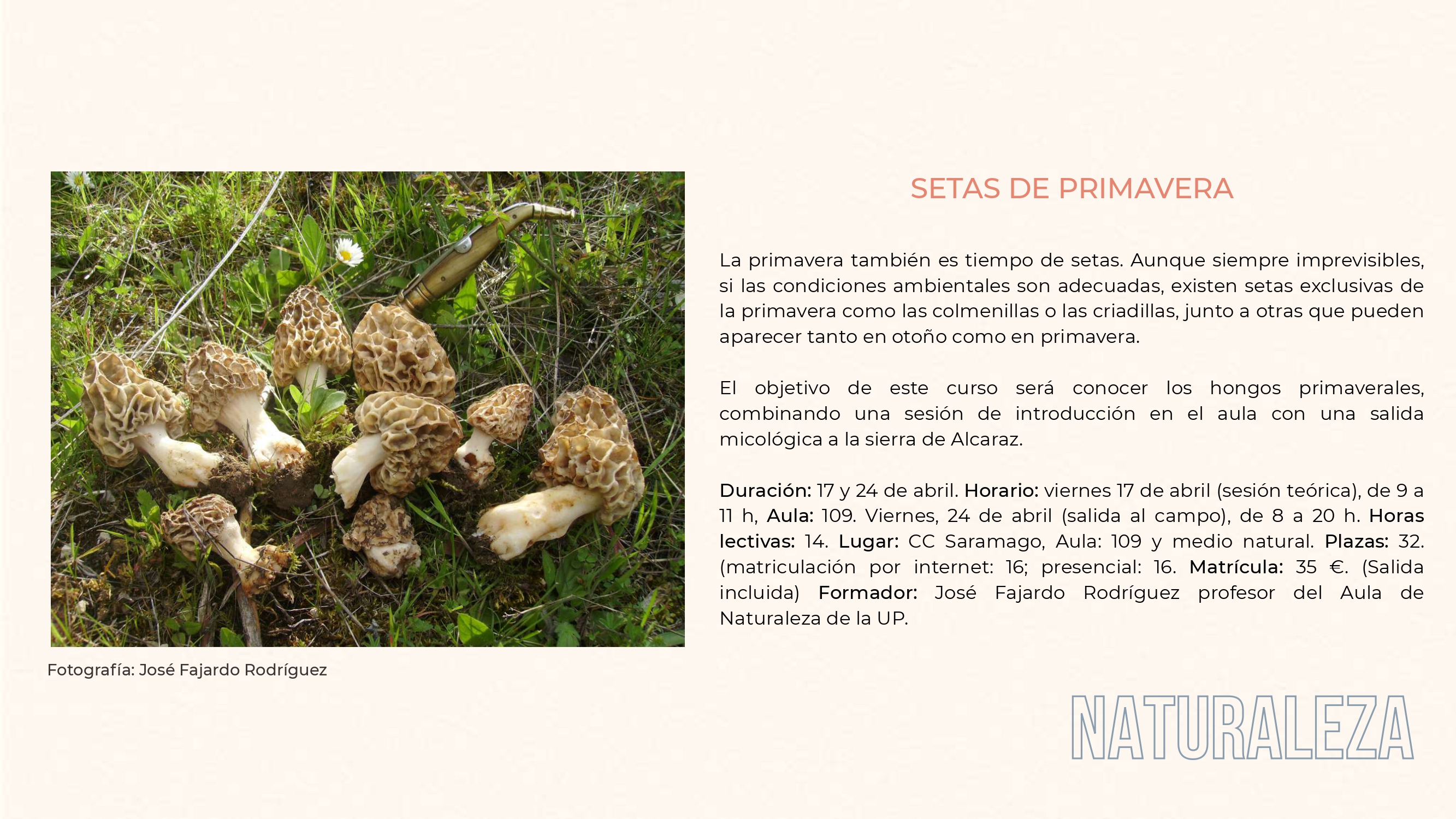 Extracto del PDF oficial de la Universidad Popular de Albacete con la información del curso Setas de primavera y la salida a la sierra de Alcaraz